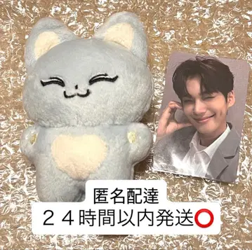 EVNNE 박한빈 봉제 인형 폭스빈 인형 트레이딩 카드 세트