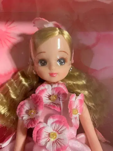 [ 익명 배송 ] 레인보우 컬러 제비꽃 리카짱