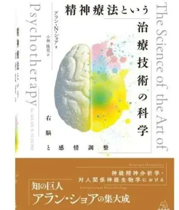 아란 N 쇼어 정신요법이라는 치료 기술의 과학 우뇌와 감정 조정 Book