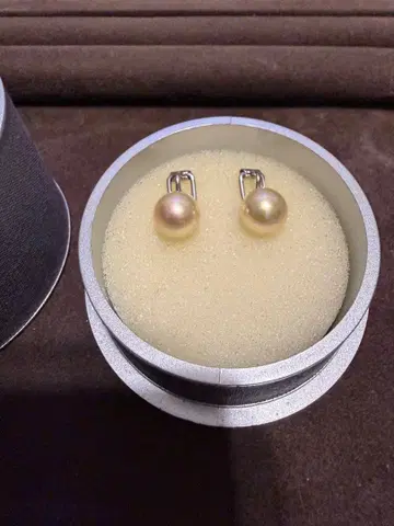 MAJORICA 진주 귀찌