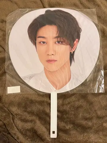 세븐틴 2020 재팬 돔 투어 SVT 민하오