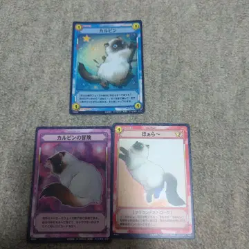 테니스의 왕자님 / 트레이딩 카드 / 레어 카드 있음 / 카르핀