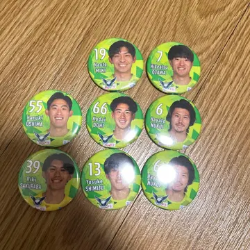 가이나레돗토리 캔뱃지 8개 세트