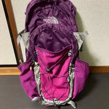 THE NORTH FACE 보라색 백팩