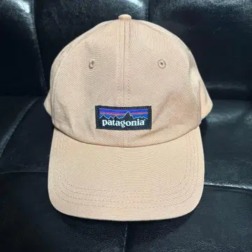 Patagonia 야구 모자 살몬 핑크