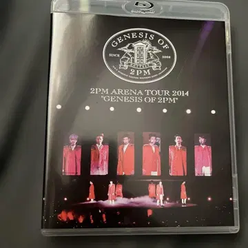 2PM/ARENA TOUR 2014'GENESIS OF 2PM'