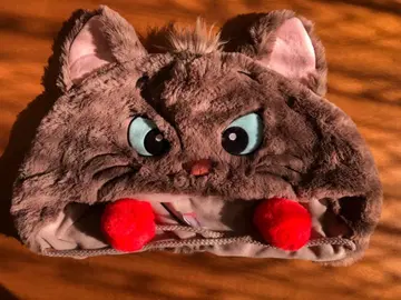 디즈니 베르리오즈 팬캡