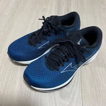 MIZUNO WAVE RIDER25 25.0cm 러닝화