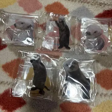 캡슐 복권 x 토바 수족관 D상 펜 스탠드 5종 세트