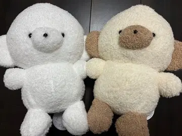 라운드원 한정판 죠세마루 BIG 봉제 인형 라테 프라이스