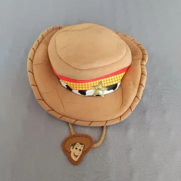 디즈니 팬캡 토이 스토리 우디 모자 햇
