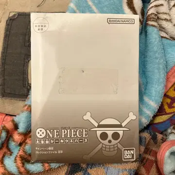 원피스 클리어 파일 A4 사이즈 미개봉