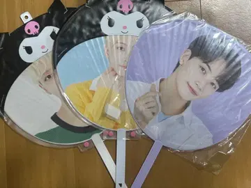 SEVENTEEN SVT 세븐틴 정한 부채 돔 투어 트레이딩 카드