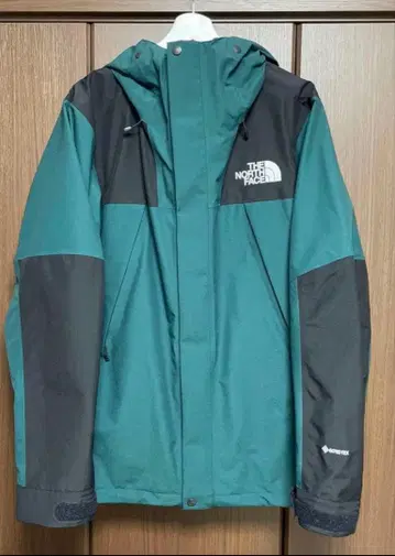 THE NORTH FACE 마운틴 파카 고어텍스