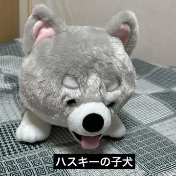 FANS 허스키 강아지 봉제 인형 XL 프리미엄 개