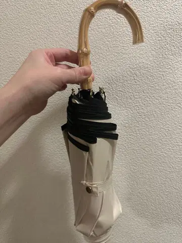 완전 차광 우천 겸용 양산 시짱 나루세 아이리 베이지