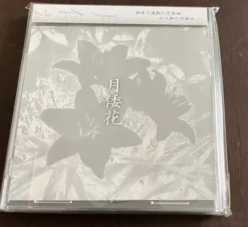 [ 새상품 ] 월왜화 / 월왜화 V계