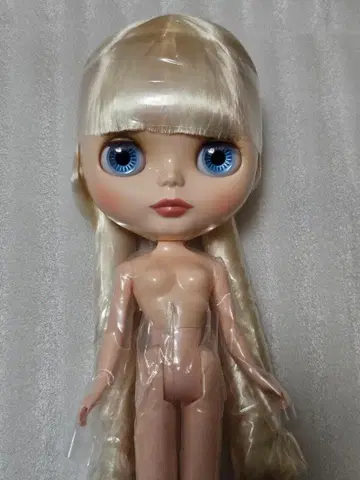 네오 브라이스  본체만