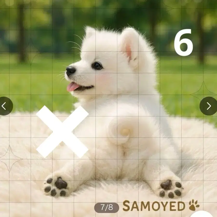 6번째 상품 이미지