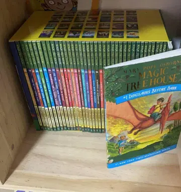 매직 트리 하우스 외국도서 영어 그림책 38권