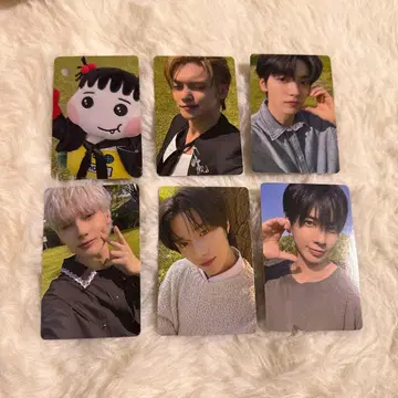 txt MOAZONE 트레이딩 카드 컴프