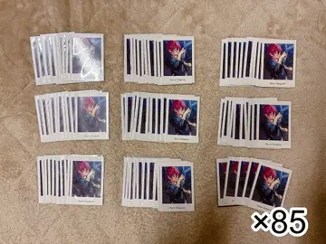 앙스타 파샤츠 vol.4 Private 사에구사 이바라