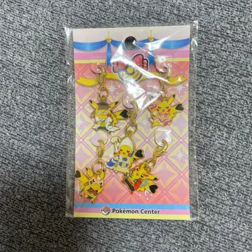 갈아입는 피카츄 메탈 참