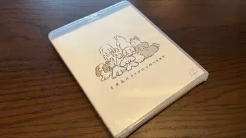 요시자와 카요코의 히비야 야외음악당