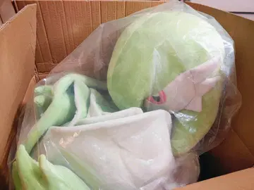 서나이트 등신대 봉제 인형 포켓몬 센터 온라인