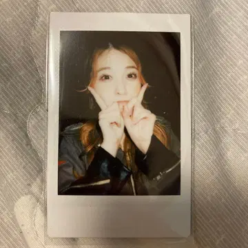 PIGGS 폴라로이드 수영장