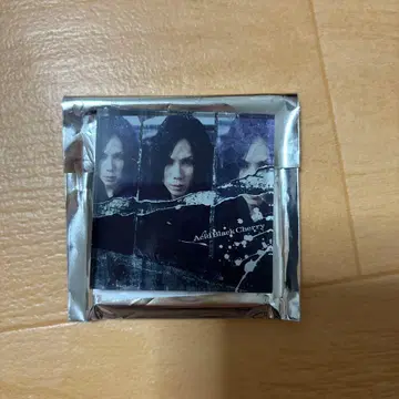 Acid Black Cherry 아크릴 마그넷 겨울의 환상