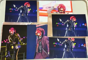 KnightA KnightX 바우군 바우 브로마이드 8장