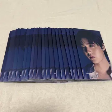 TREASURE Pleasure 도영 앨범 20장 세트