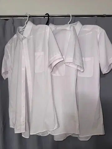 화이트 반팔 와이셔츠 L 사이즈 3매 세트