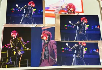 KnightA KnightX 기사A 기사X 바우군 브로마이드 8장