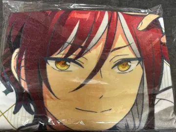 사카사키 나츠메 스타포니 빅 비주얼 타월