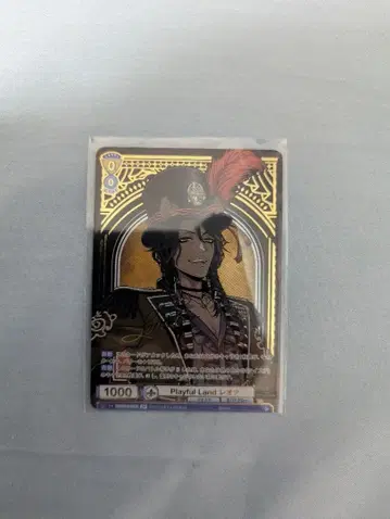 바이스 슈바르츠 브라 Playful Land 레오나 SP 사양