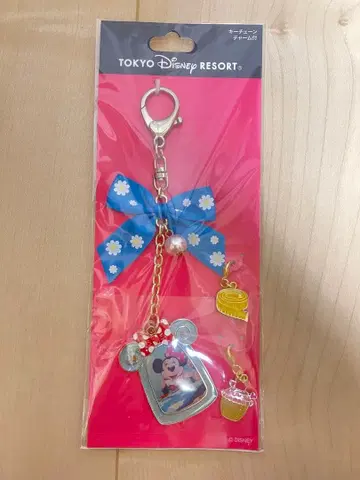 도쿄 디즈니 리조트 미니 키링 키체인 참 포함