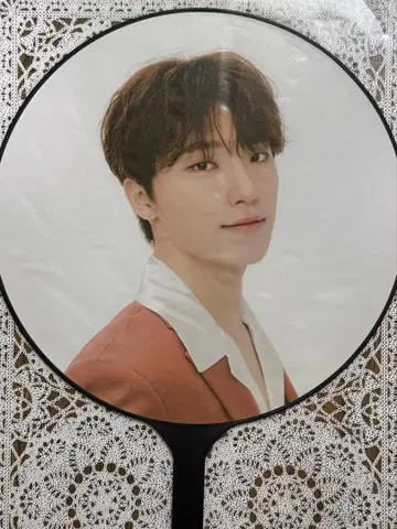 SEVENTEEN 디노 be the sun 부채