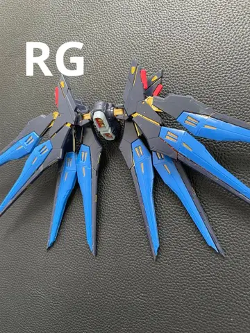 건담 프라모델 rg 스트라이크 프리덤 백팩