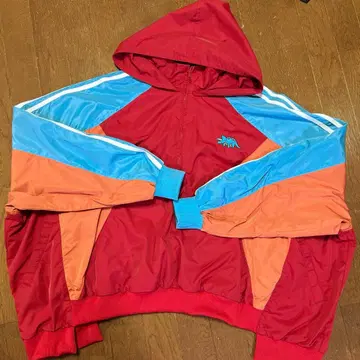 다이너소어 나일론 후드티