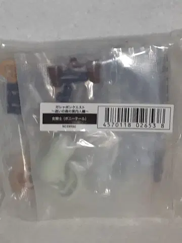 가샤폰 퀘스트 ~망설임의 숲의 안내인~ 여자 기사(포니테일)