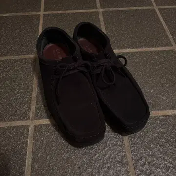 clarks Wallabee 왈라비