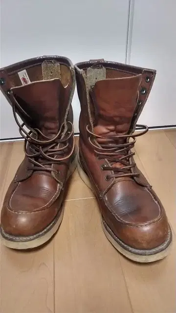 레드윙 아이리쉬 세터 877 깃털 택 9D 레드윙