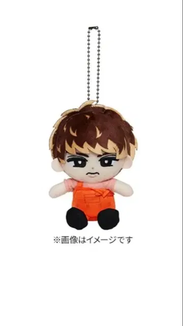 SnowMan 무카이 코지 봉제 인형