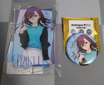 긴급 입고! 선착순! 소진 시 종료!!