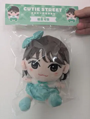 CUTIE STREET 멤버별 카와누이