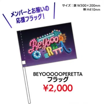 BEYOOOOONDS 플래그