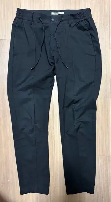 잽스 아르키비오 MASACCIO