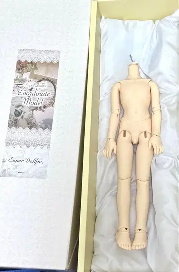 SDM 남아 바디 슈퍼돌피 보크스 노멀 스킨